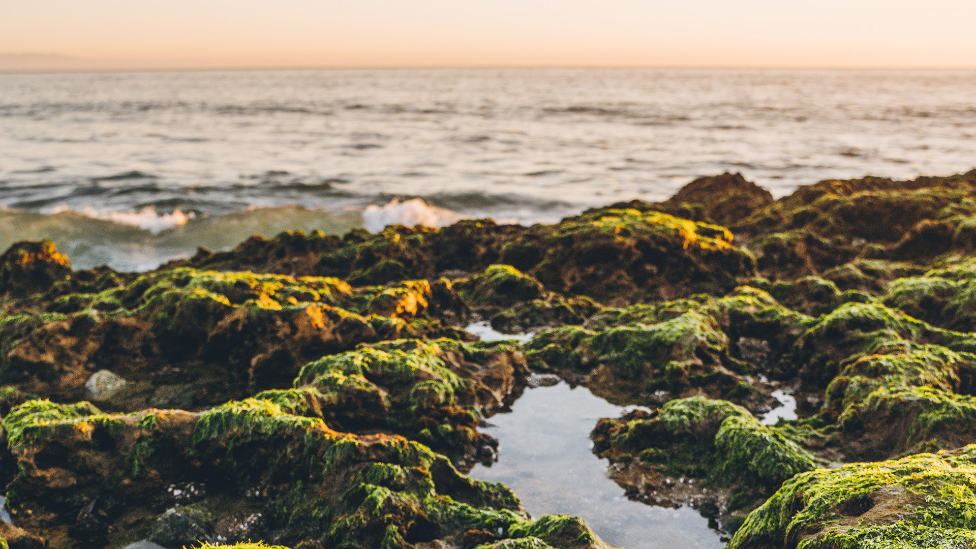 Le pozze d'acqua vicino alla Spiaggia di Santa Maria nella Contea di Santa Cruz, California