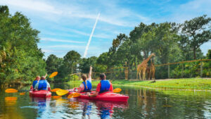 Kayaking at Brevard Zoo on Florida’s Space Coast during a rocket launch
