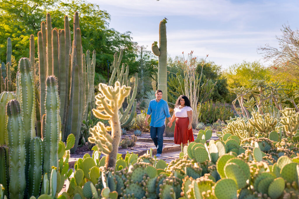 Desert Botanical Garden in Phoenix, Arizona; Credit: An Pham Photography