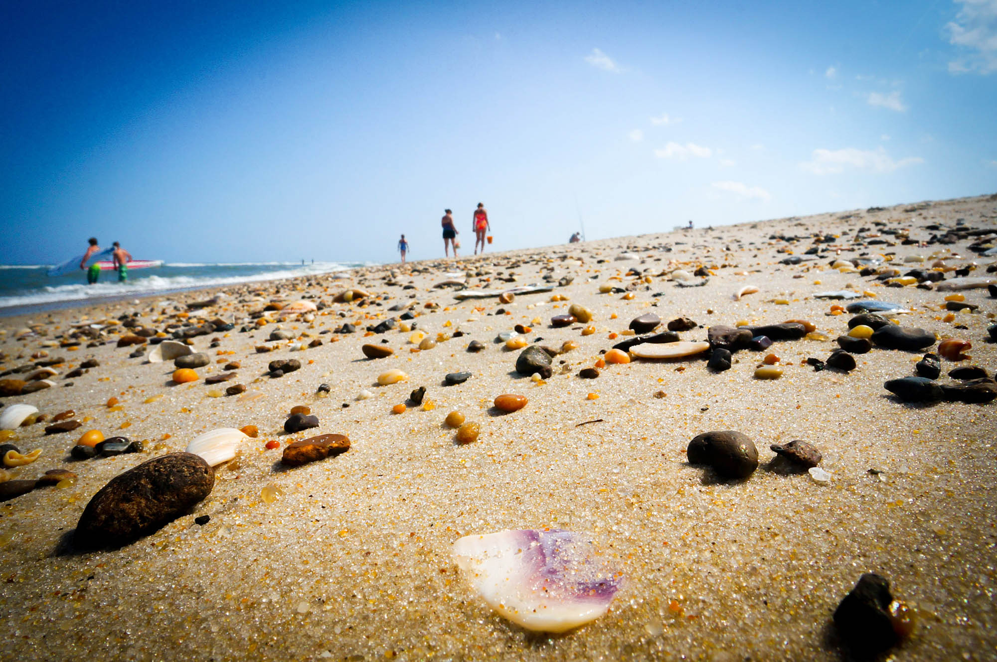Conchas na Rehoboth Beach  Delaware