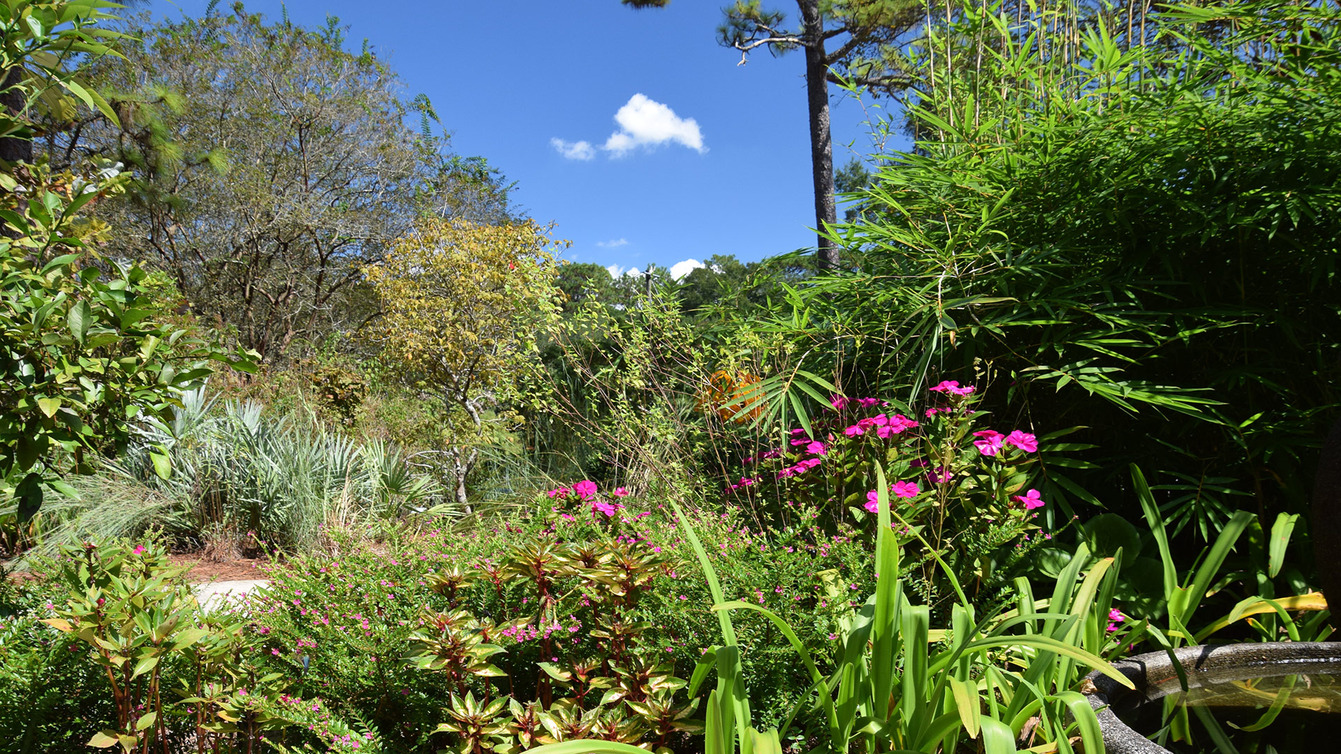 Mobile Botanical Gardens in Mobile, Alabama