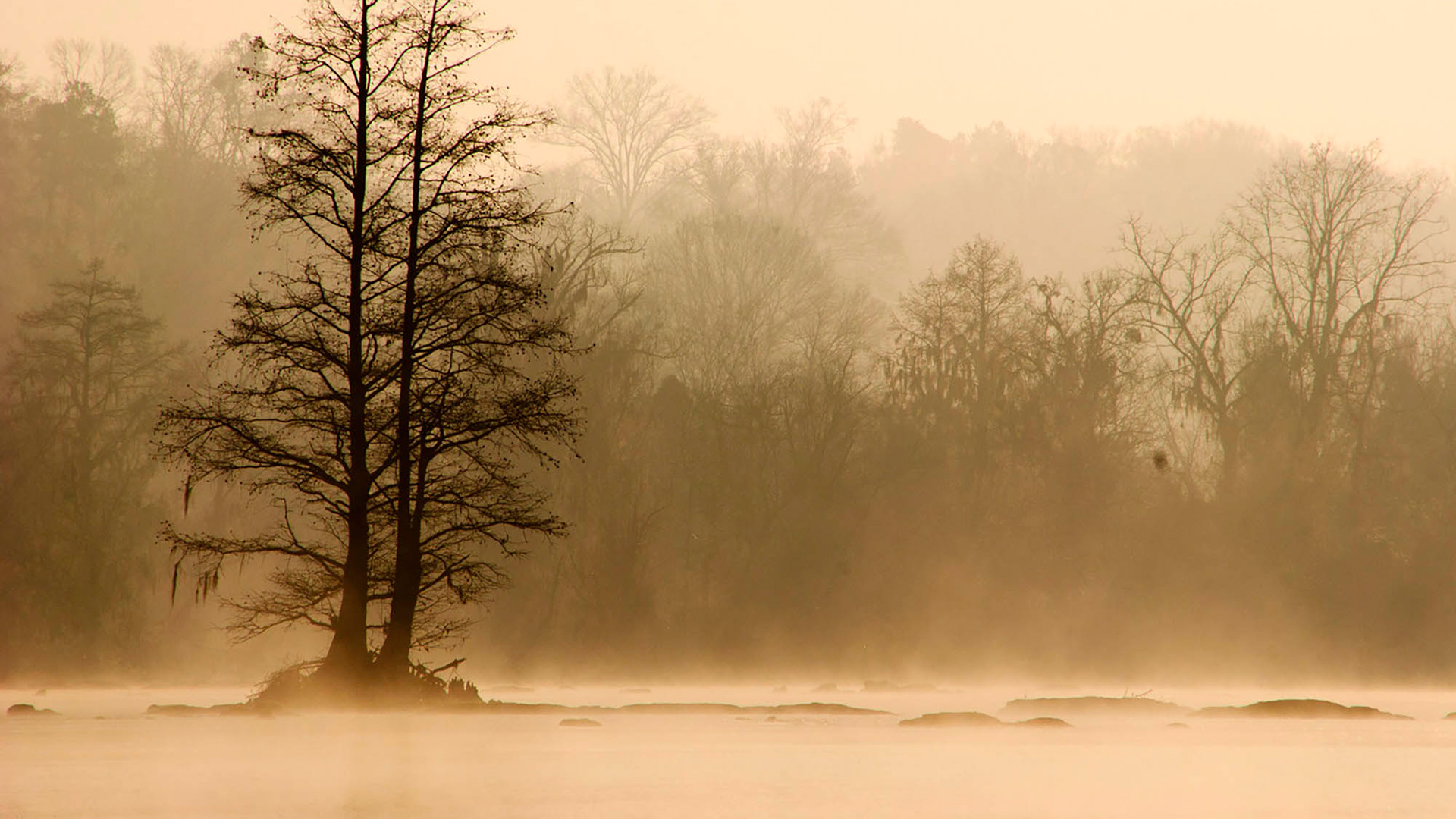 조지아주 Augusta의 서배너 에 낀 안개