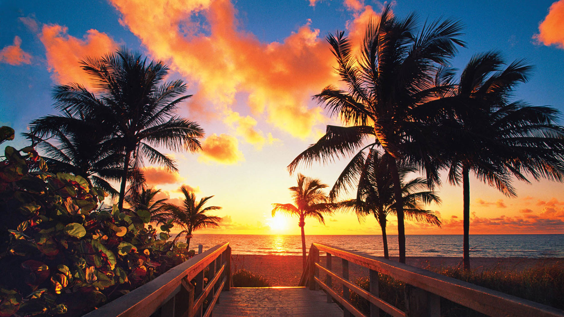Sunrise  Hollywood , em Fort Lauderdale, Florida; Crédito: Alan Maltz
