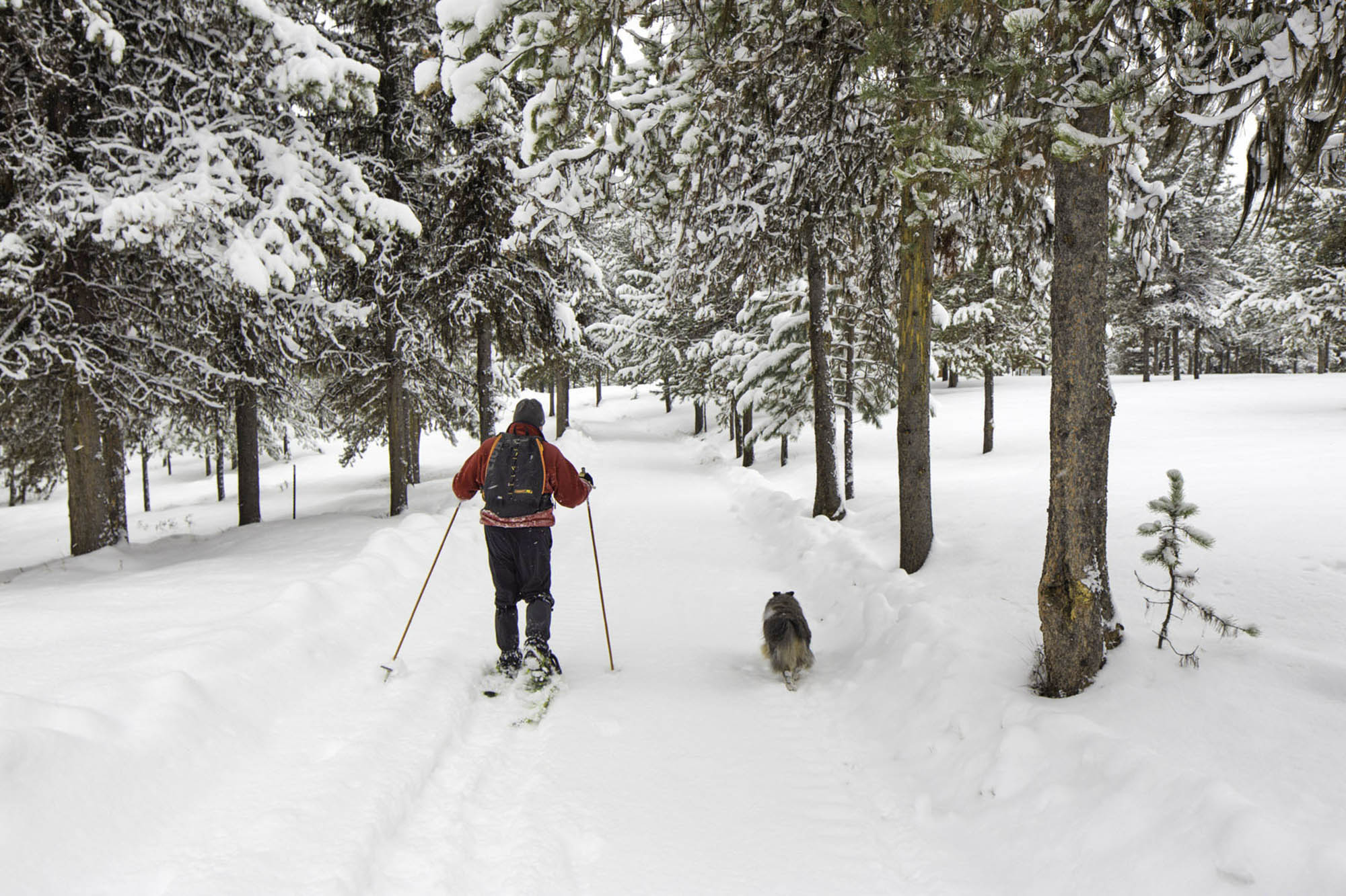 Snowshoeing near Red River in North Central Idaho
