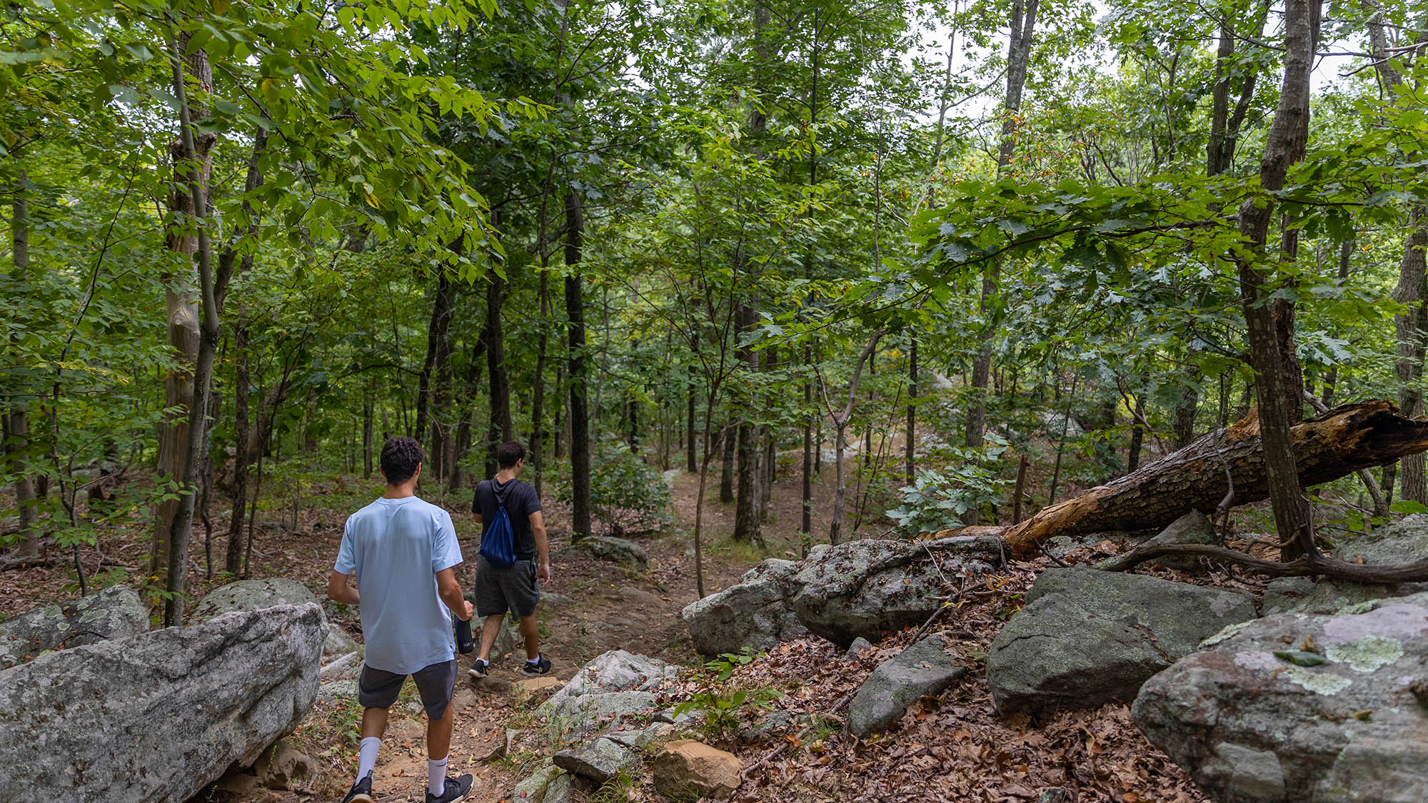 Ward Pound Ridge Reservation in Westchester, New York; Credit: Sam Friedman
