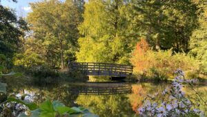 Fall colors in Leonard J. Buck Garden in Far Hills, New Jersey; Credit: Somerset County, New Jersey