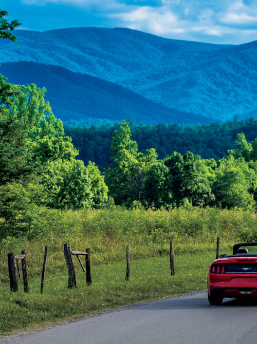Cade's Cove Loop Road in Townsend, Tennessee; Credit: Journal Communications Inc.