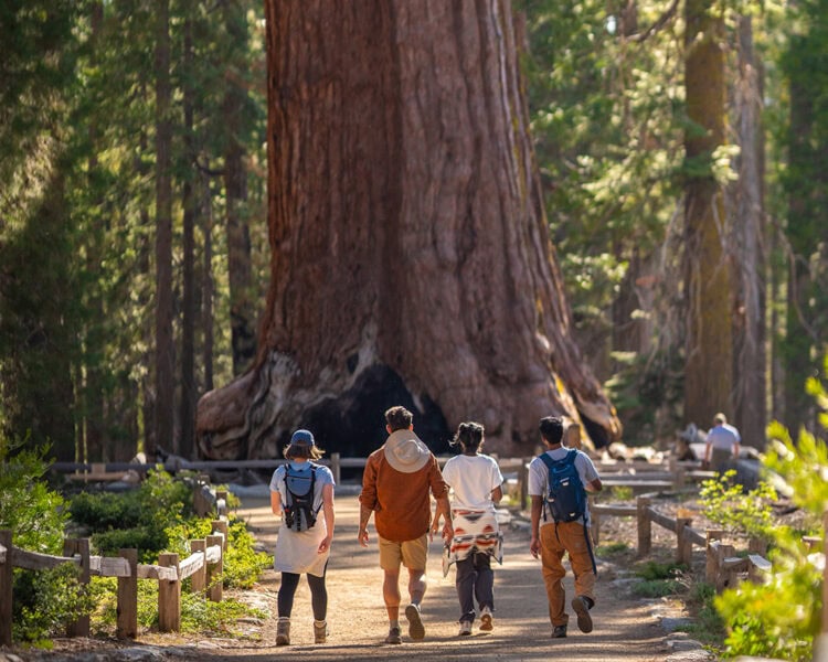ヨセミテ・マデラ郡（カリフォルニア州）の冒険 - アメリカを訪れよう