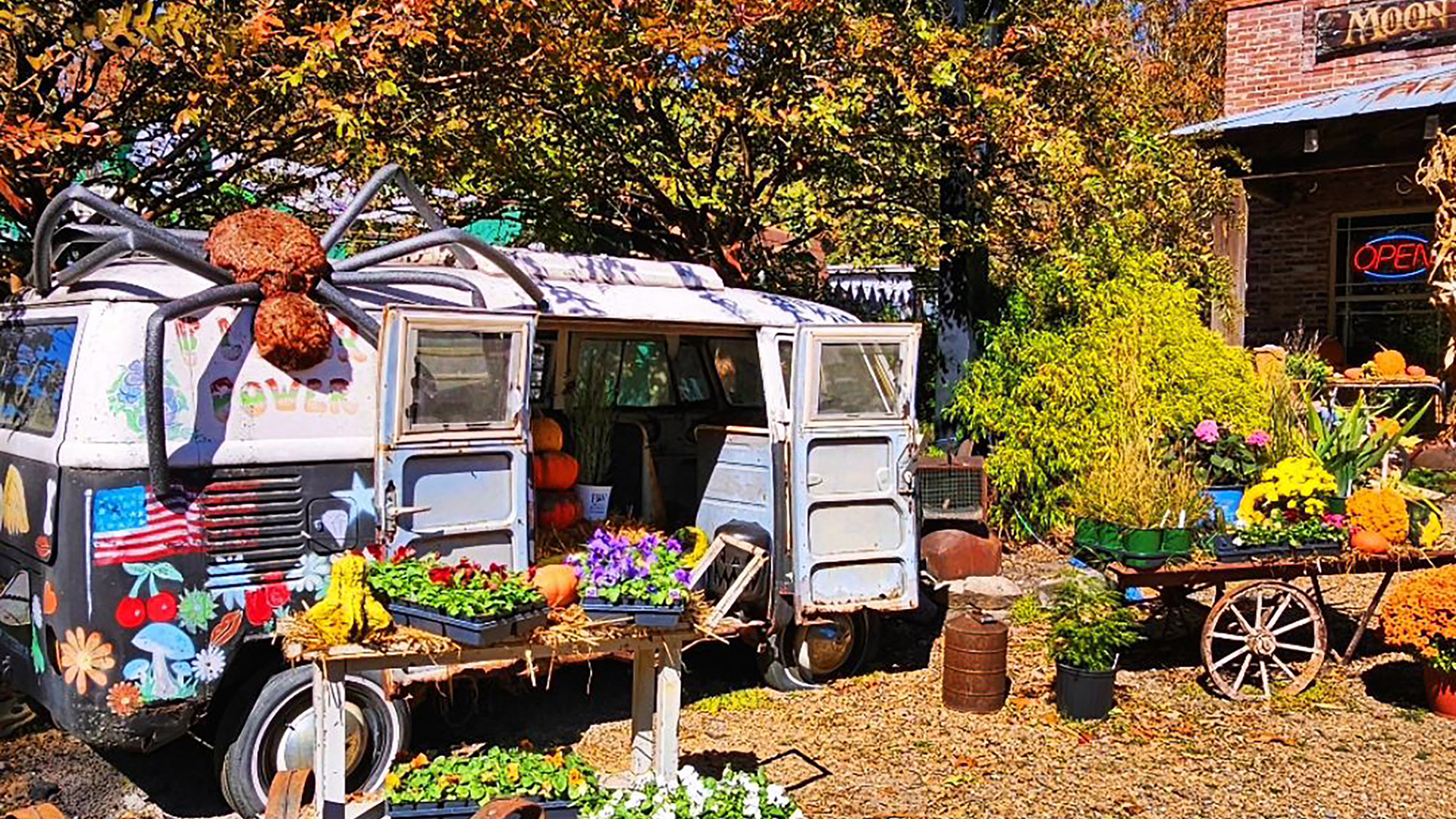 Moon Lake Trading Co à Mentone, en Alabama; Crédit : Victoria McCool