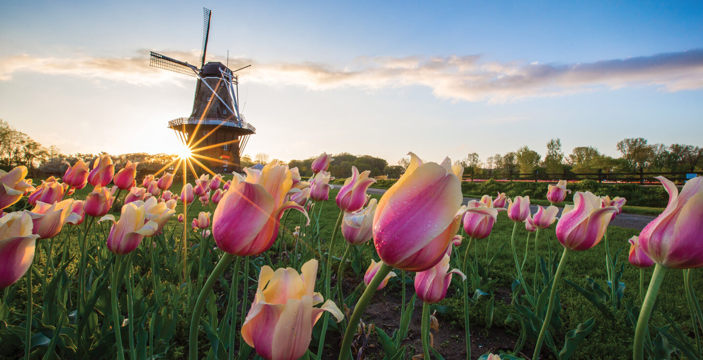 Jardins de l’île Windmill à Holland, Michigan