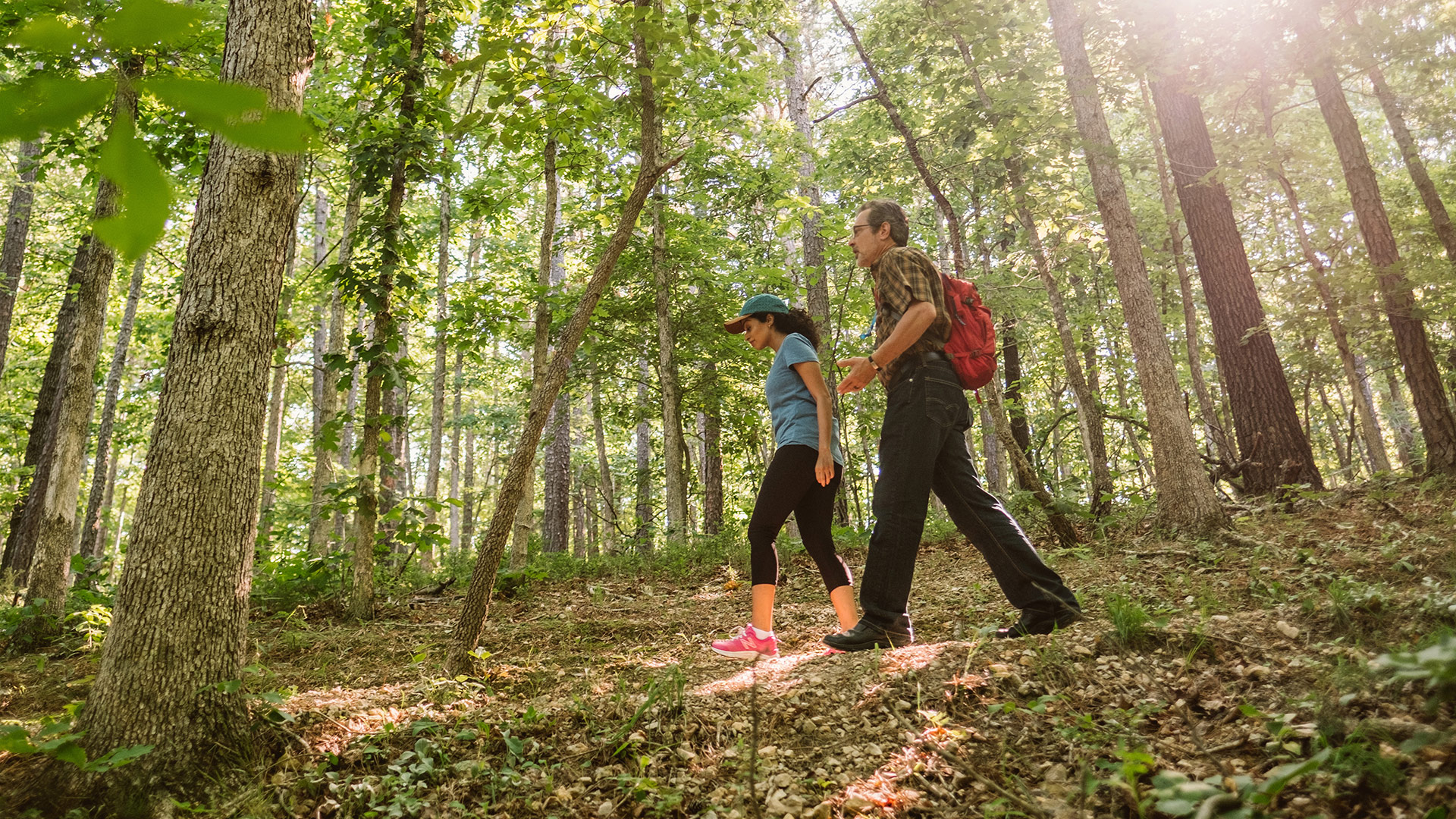 Randonnée dans le parc d'État et la zone de conservation de Hobbs, dans le nord-ouest de l'Arkansas