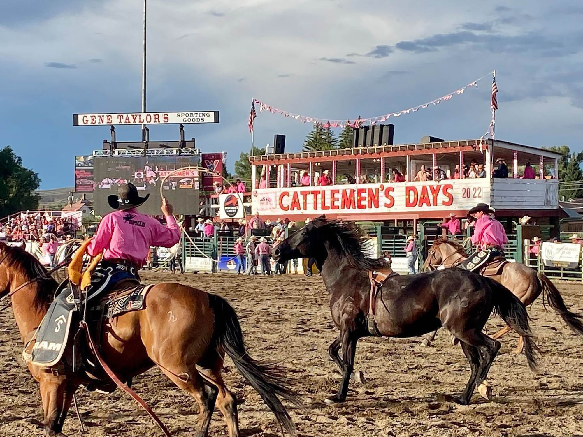 Viehzüchtertage in Gunnison, Colorado