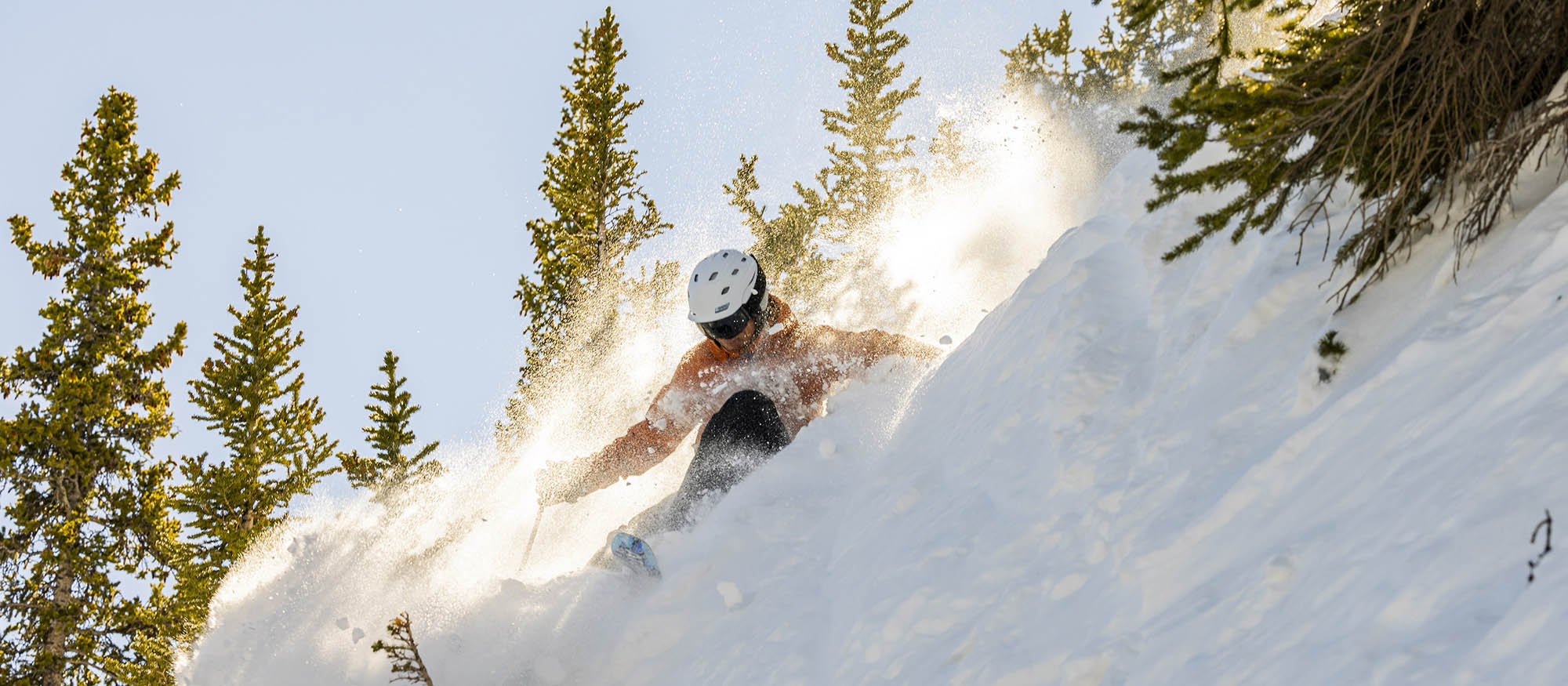 Crested Butte Mountain Resort in Crested Butte, Colorado