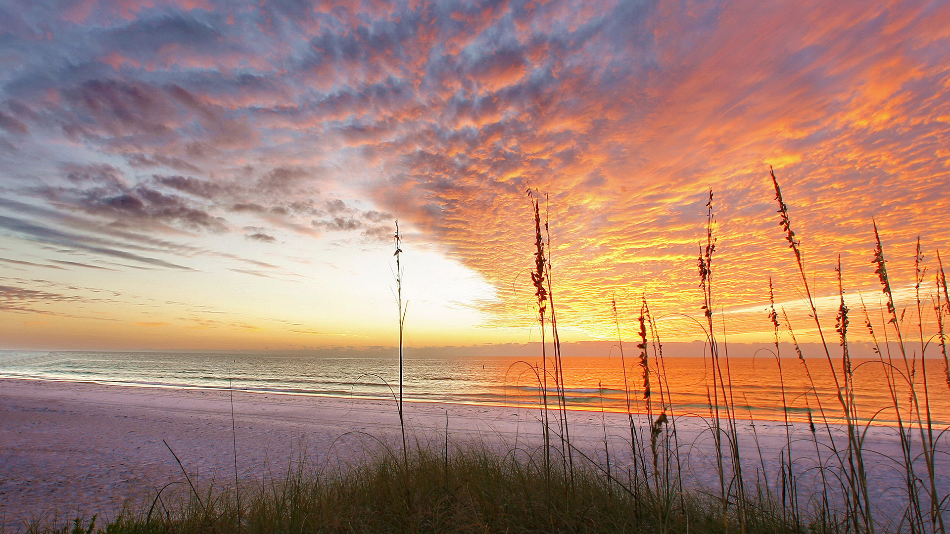 Sunset from the beach in Anna Maria Island, Florida