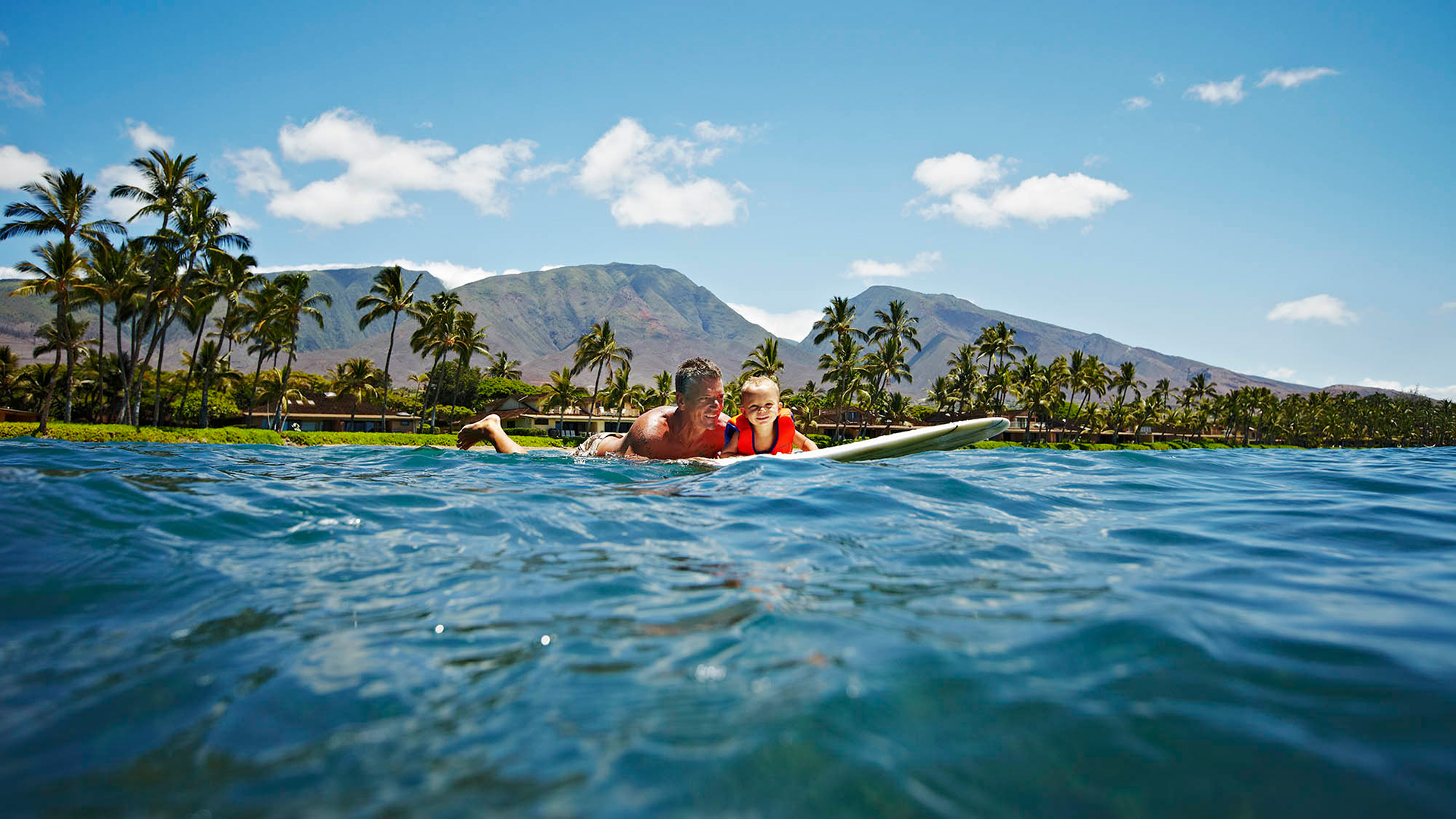 View of Mauna Kahālāwai on Maui, Hawaiʻi