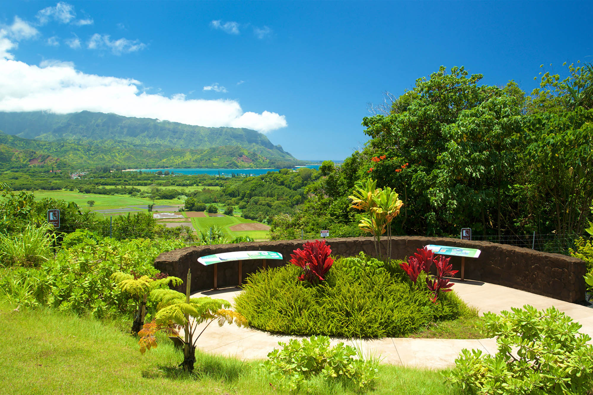 Hanalei National Wildlife Refuge in Kauaʻi, Hawaiʻi; Credit: Kicka Witte