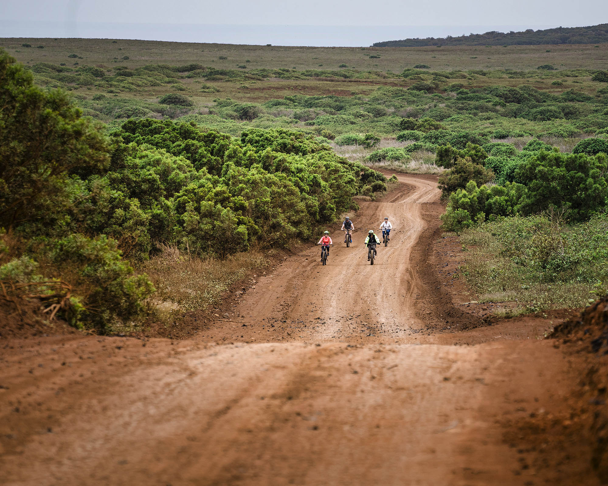 E-bike tour through the countryside on Lānaʻi in Hawaiʻi; Credit: Maui Visitors &amp; Convention Bureau