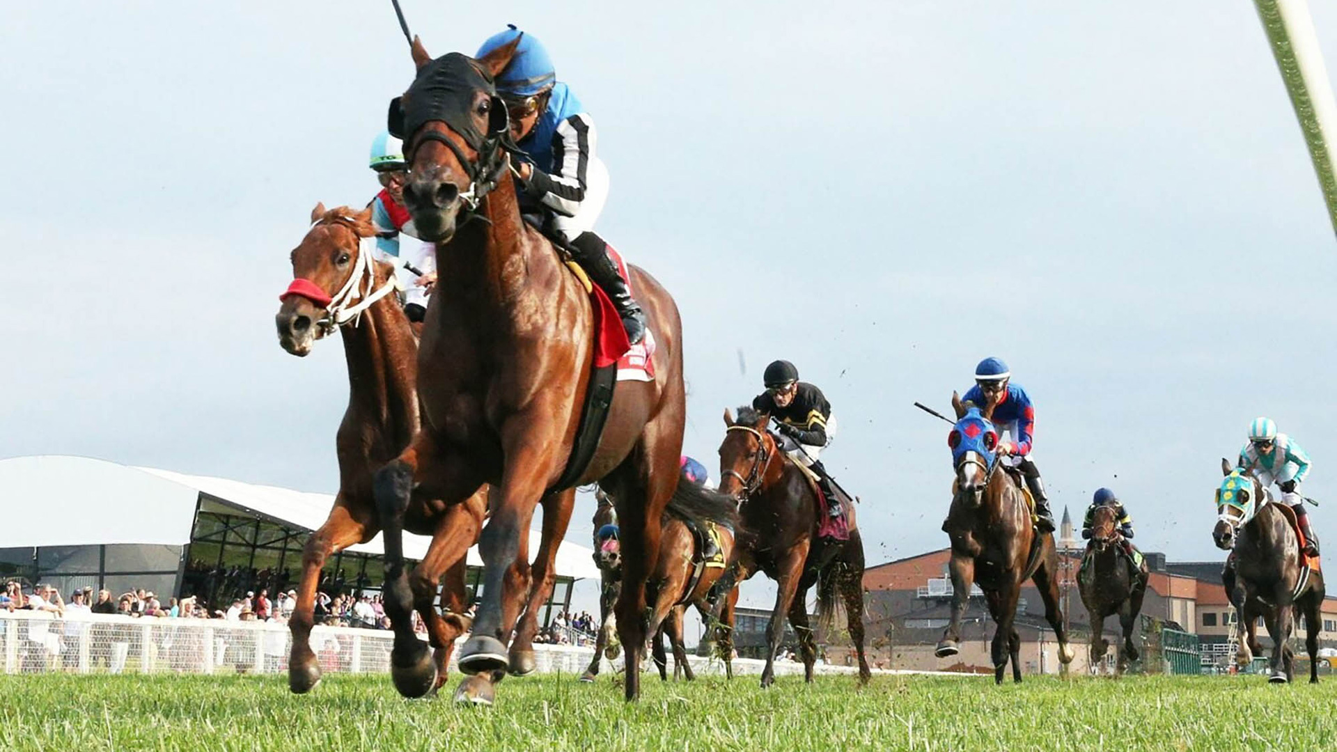 Horse racing at Kentucky Downs near Bowling Green, Kentucky; Credit: Franklin KY CVB