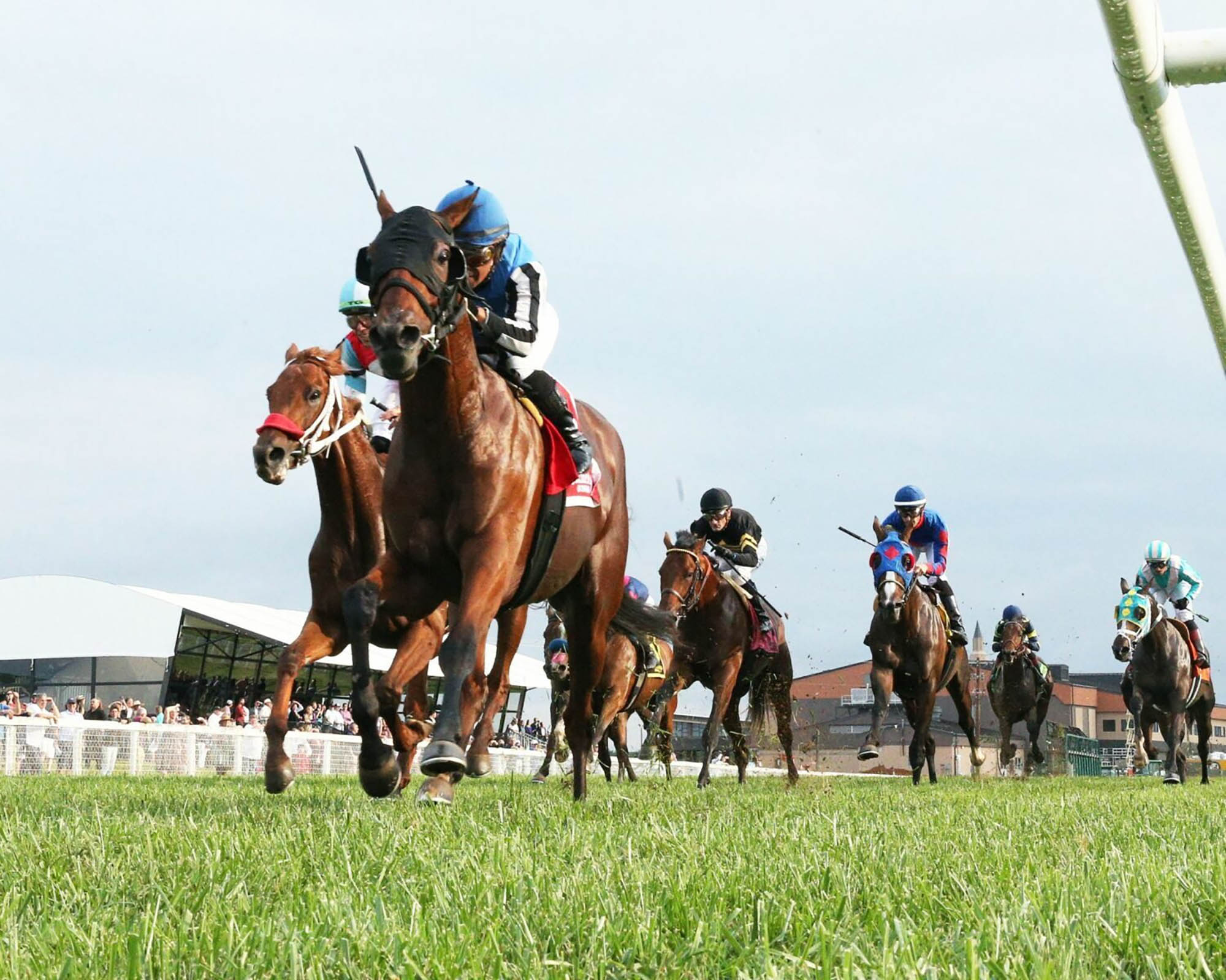 Horse racing at Kentucky Downs near Bowling Green, Kentucky; Credit: Franklin KY CVB
