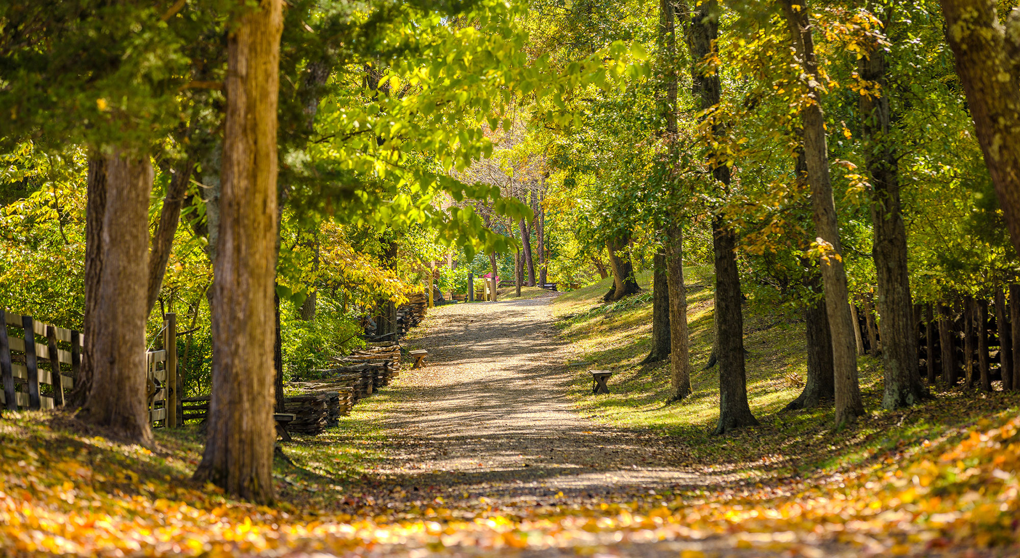 Panoramastraße in Watkins Mill State Park In Missouri Clay County