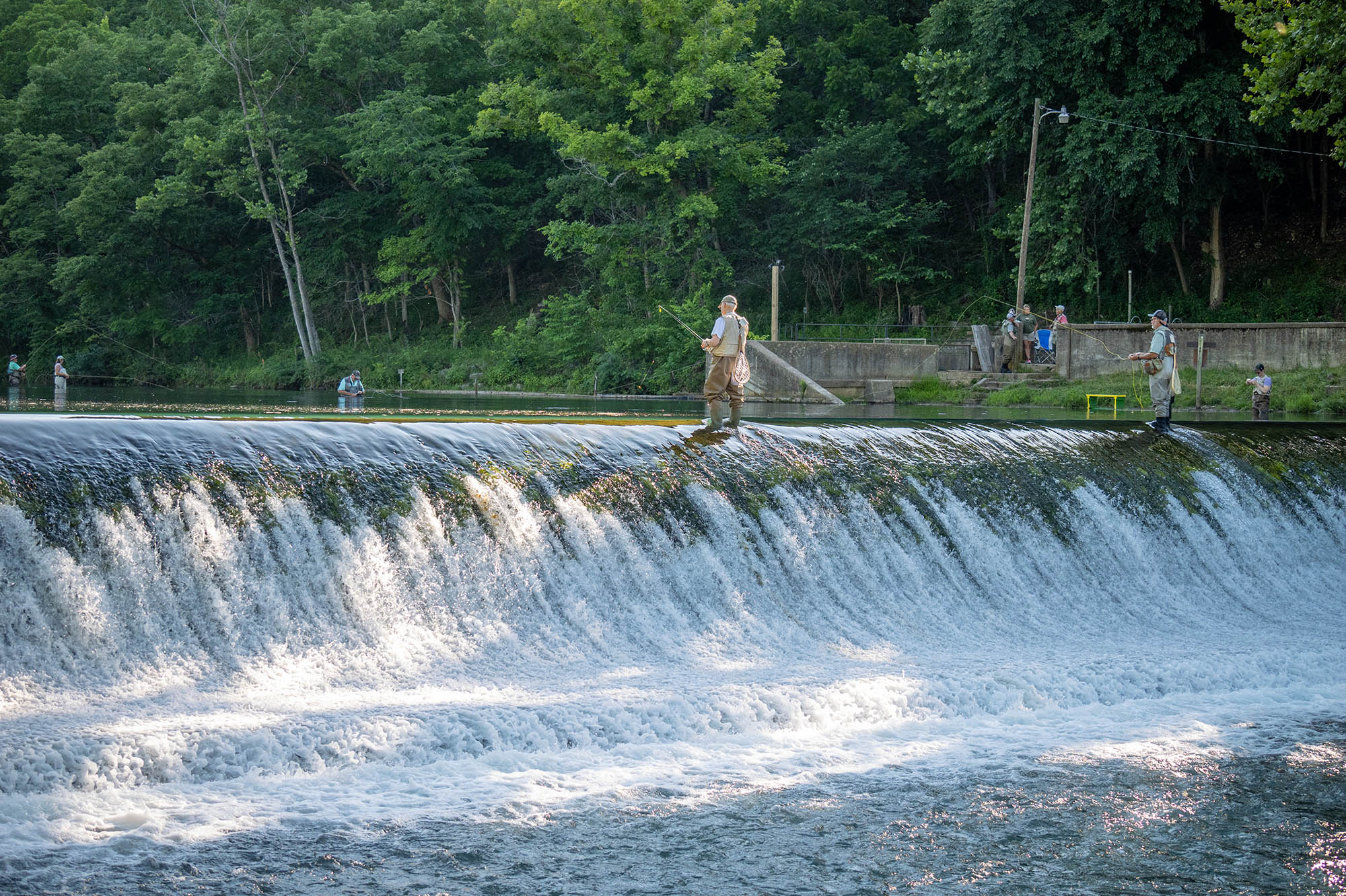 Trout fishing in Bennett Spring State Park near Lebanon, Missouri