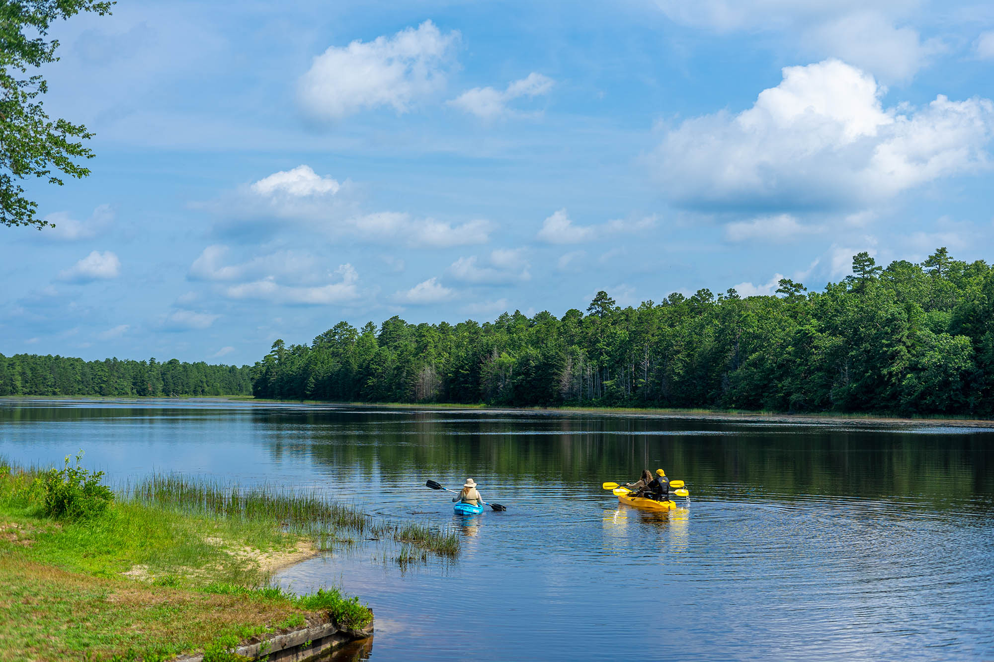 Passeio de caiaque perto da vila de Batsto e da Floresta Estadual de Wharton, no Sul de Jersey; Crédito: Visit Sul de Jersey
