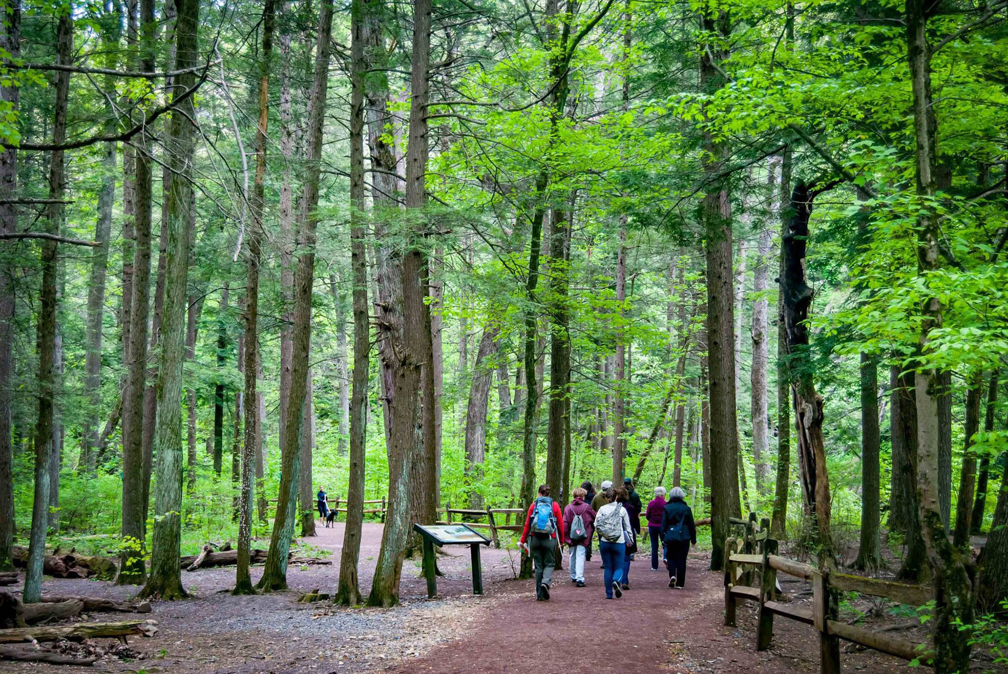 Marcher dans le parc d’État Jacobsburg à Lehigh Valley, Pennsylvanie; Crédit : Discover Lehigh Valley