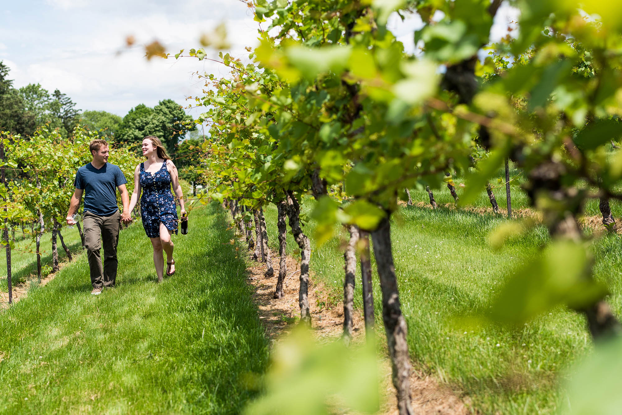 Un couple qui marche à travers des vignes au vignoble Clover Hill en Lehigh Valley, Pennsylvanie; Crédit : Discover Lehigh Valley