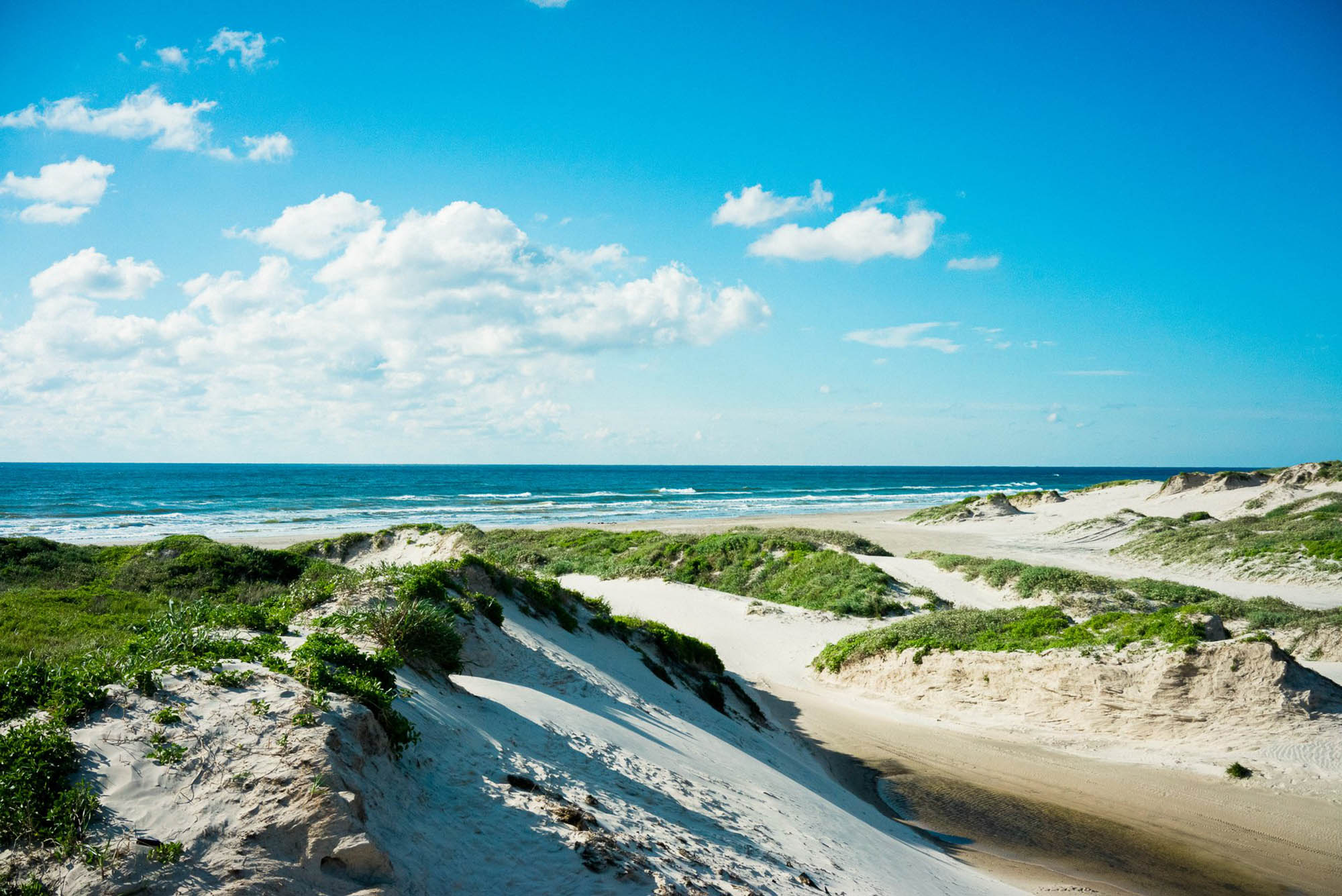 Padre Island National Seashore in Corpus Christi, Texas; Credit: Visit Corpus Christi