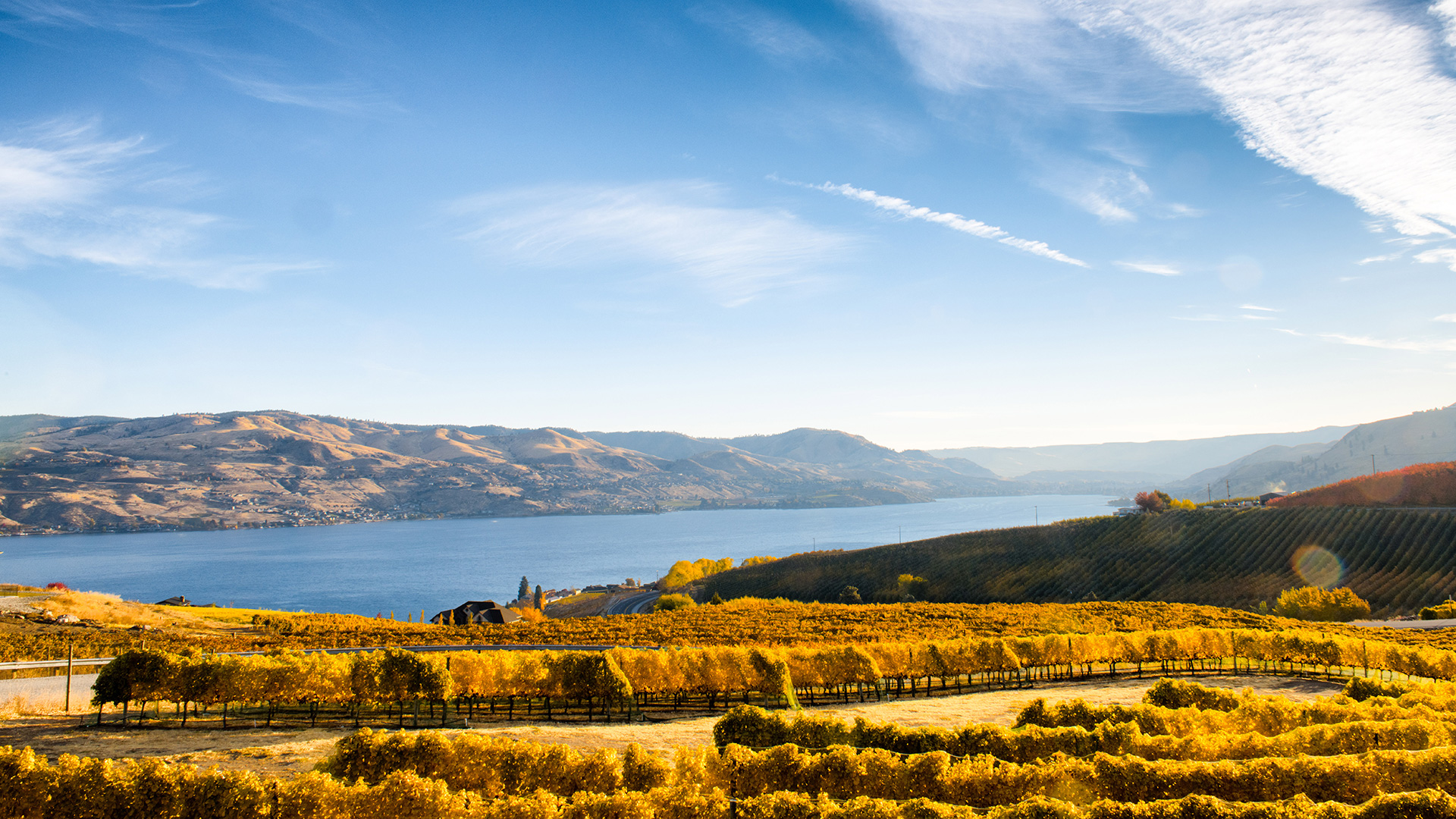 Le vignoble Clos Chevalle à Chelan, dans l'État de Washington