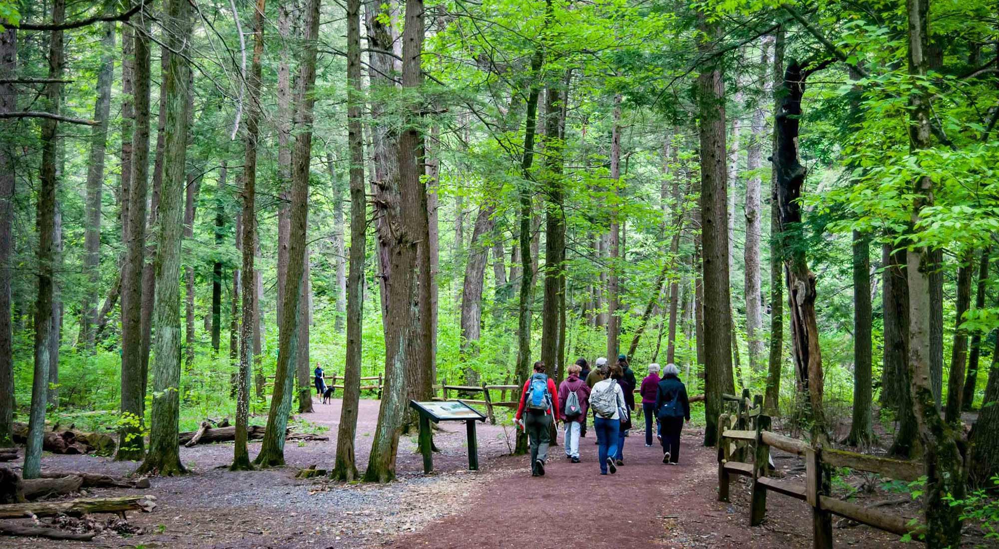 Spaziergang im Jacobsburg state park im Lehigh Valley, Pennsylvania; Credit: Discover Lehigh Valley