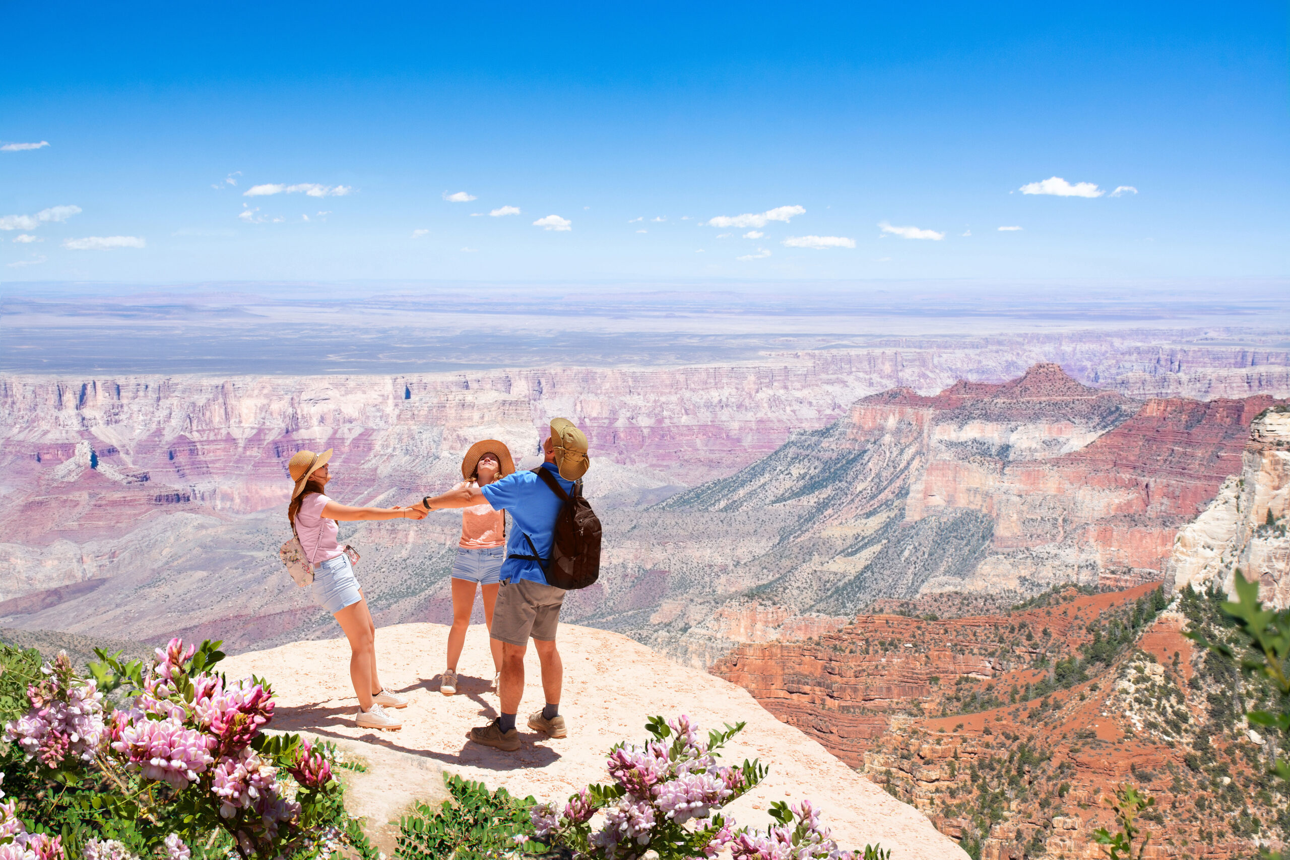family holding hands overlooking grand canyon