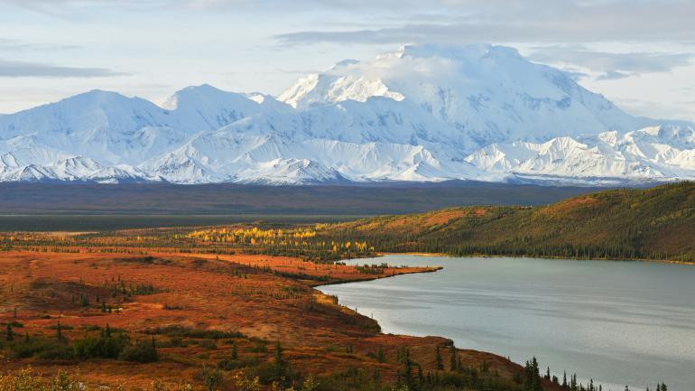 Panoramic view of Alaskan wilderness with a mountain backdrop