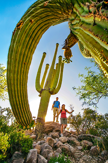 Excursionistas en el Parque Nacional Saguaro, Arizona