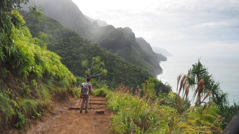 Man hiking on a Hawaiian trail