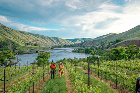 Viñedo y bodega Rivaura Estate en Idaho