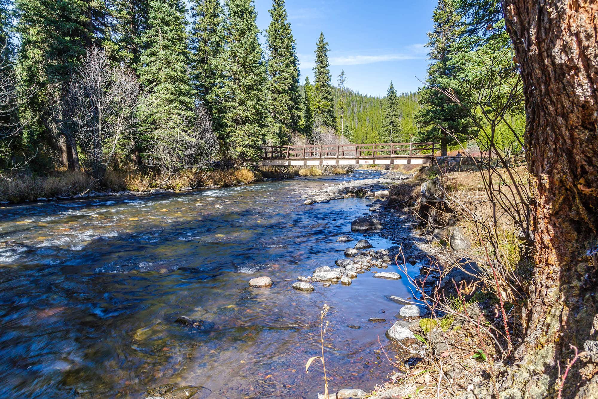 Hyalite Creek near Bozeman, Montana