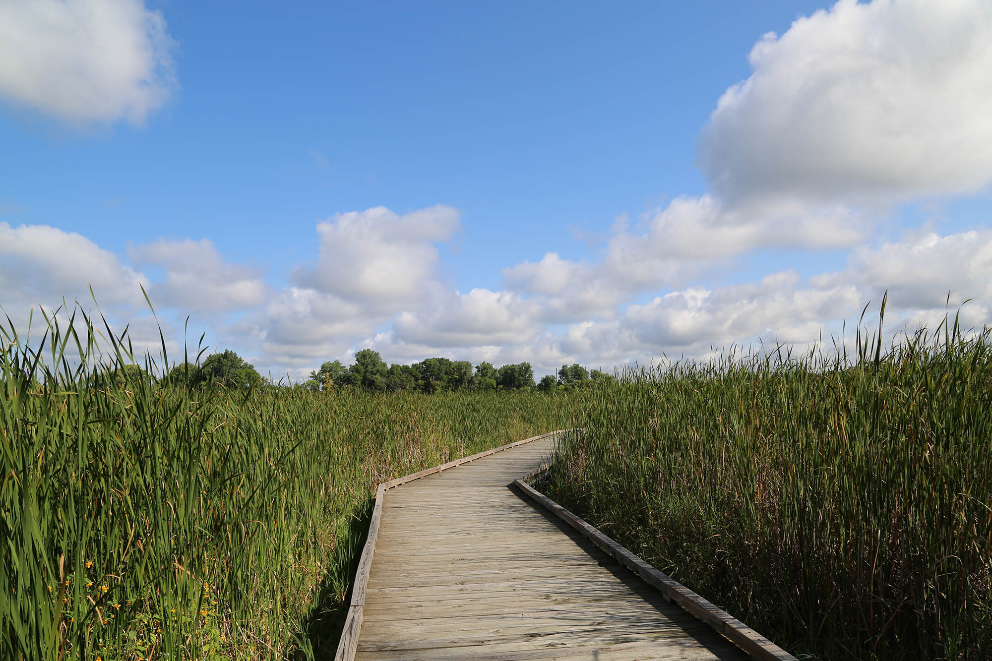 Westwood Hills Nature Center in St. Louis Park, Minnesota