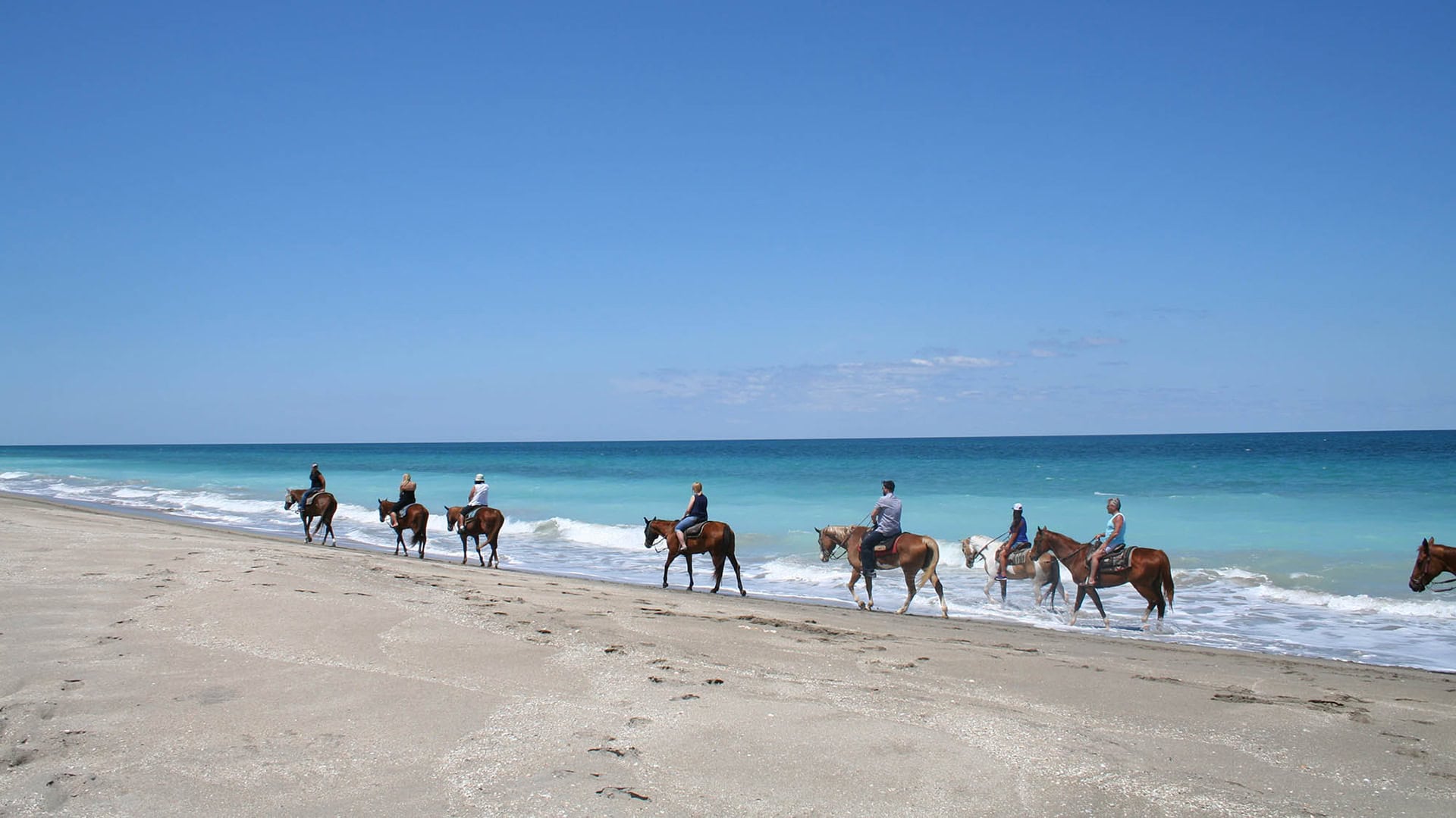 Promenade à cheval sur la plage de Fort Pierce, Floride; Crédit : FlorideLa Côte au Trésor de 's