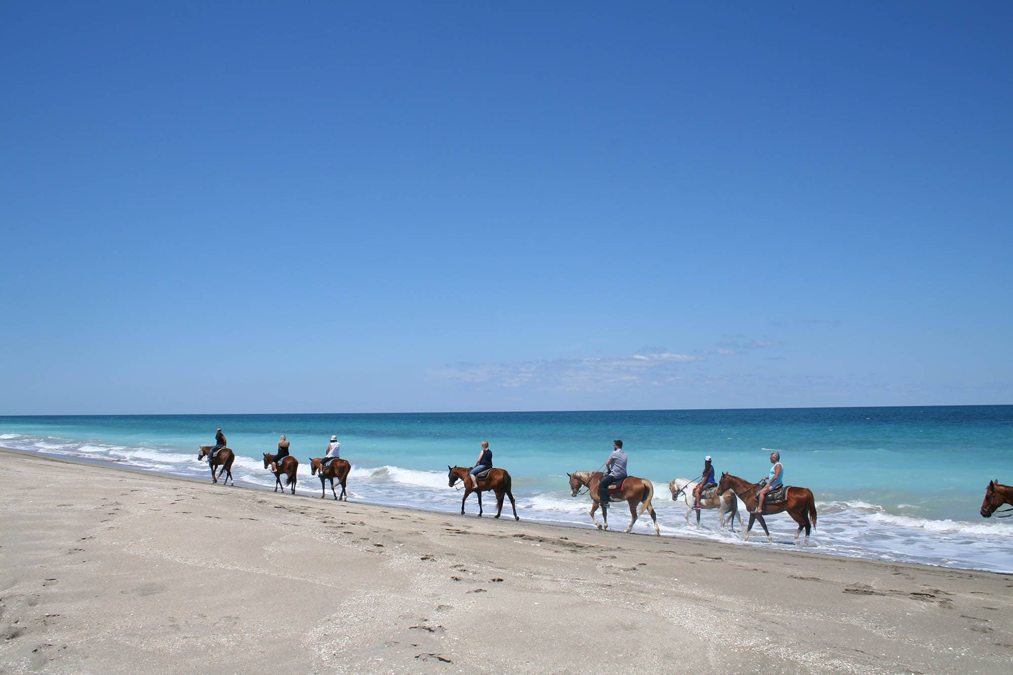 Balade à cheval sur la plage de Fort Pierce, Floride