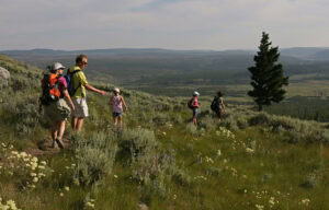 Caminhada pela trilha do Pico Bunsen no parque nacional de Yellowstone