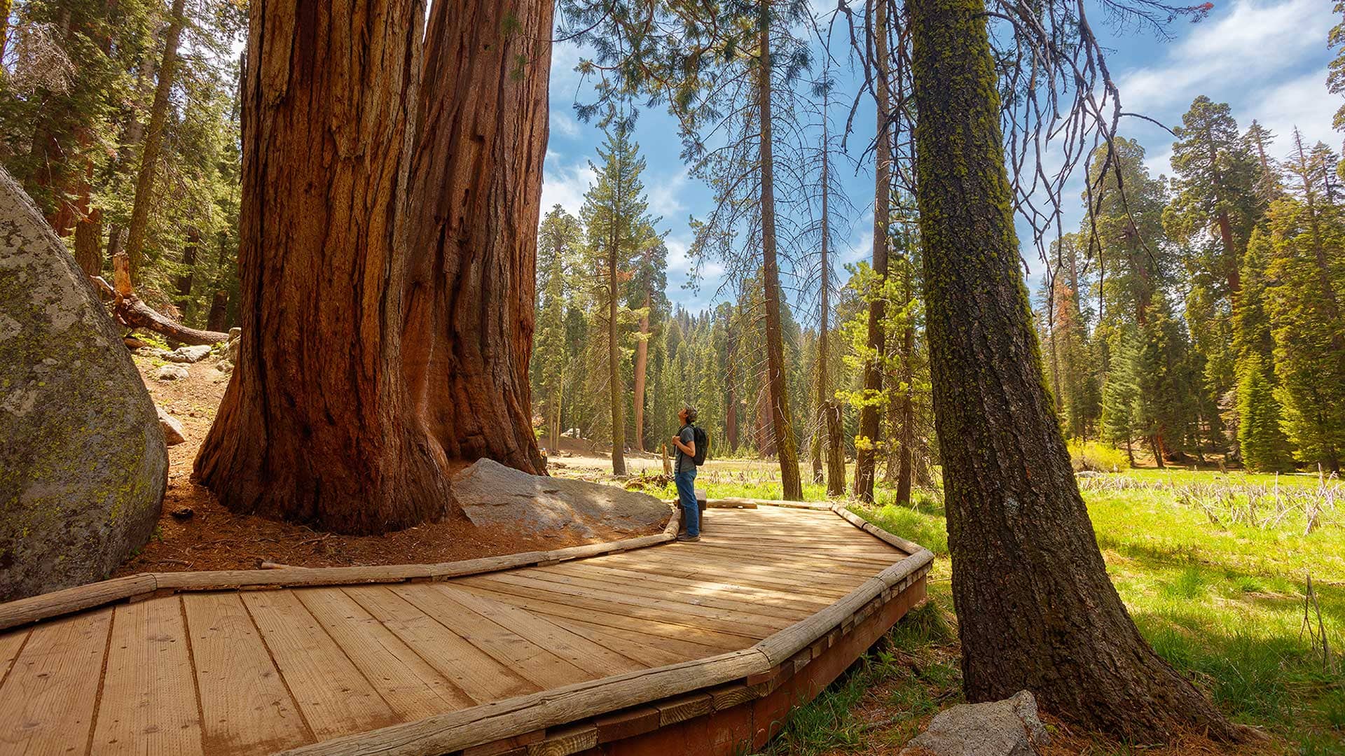 Hiking in Sequoia National Park near Visalia, California