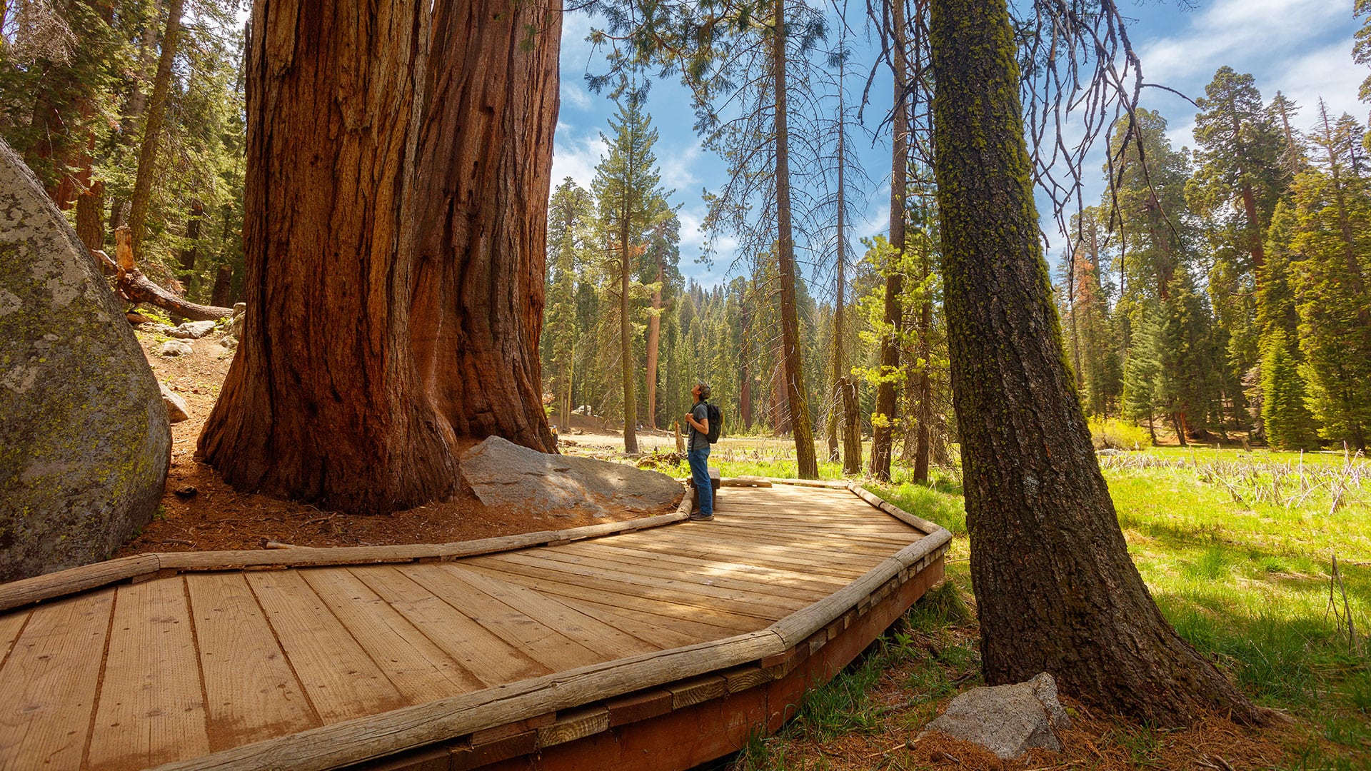 Hiking in Sequoia National Park near Visalia, California; Credit: Daniel Chui