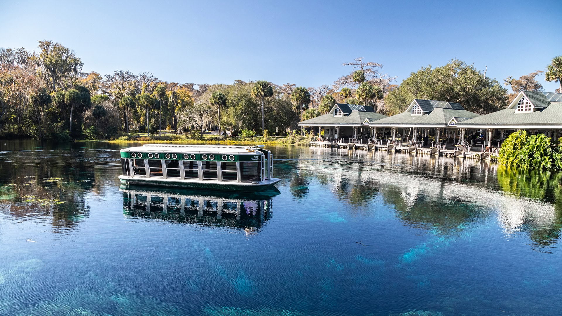 Silver Springs State Park nahe Ocala , Florida