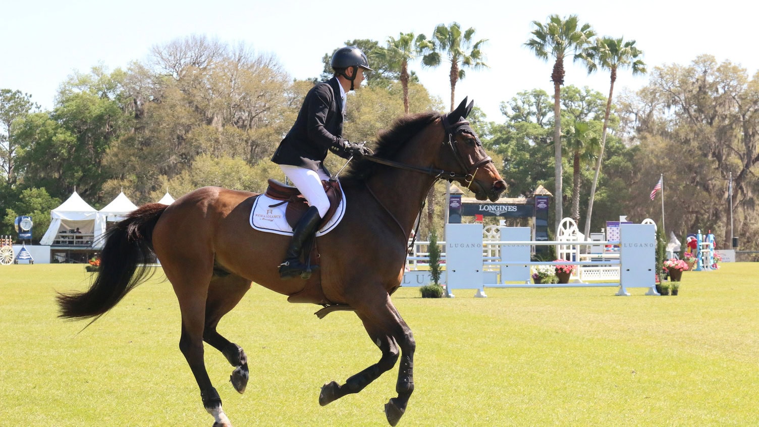 Live Oak International Horse Show em Ocala, Florida