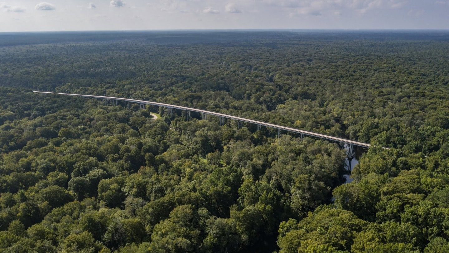 Vista aérea da Floresta Ocala de Ocala , no condado de Marion, Florida