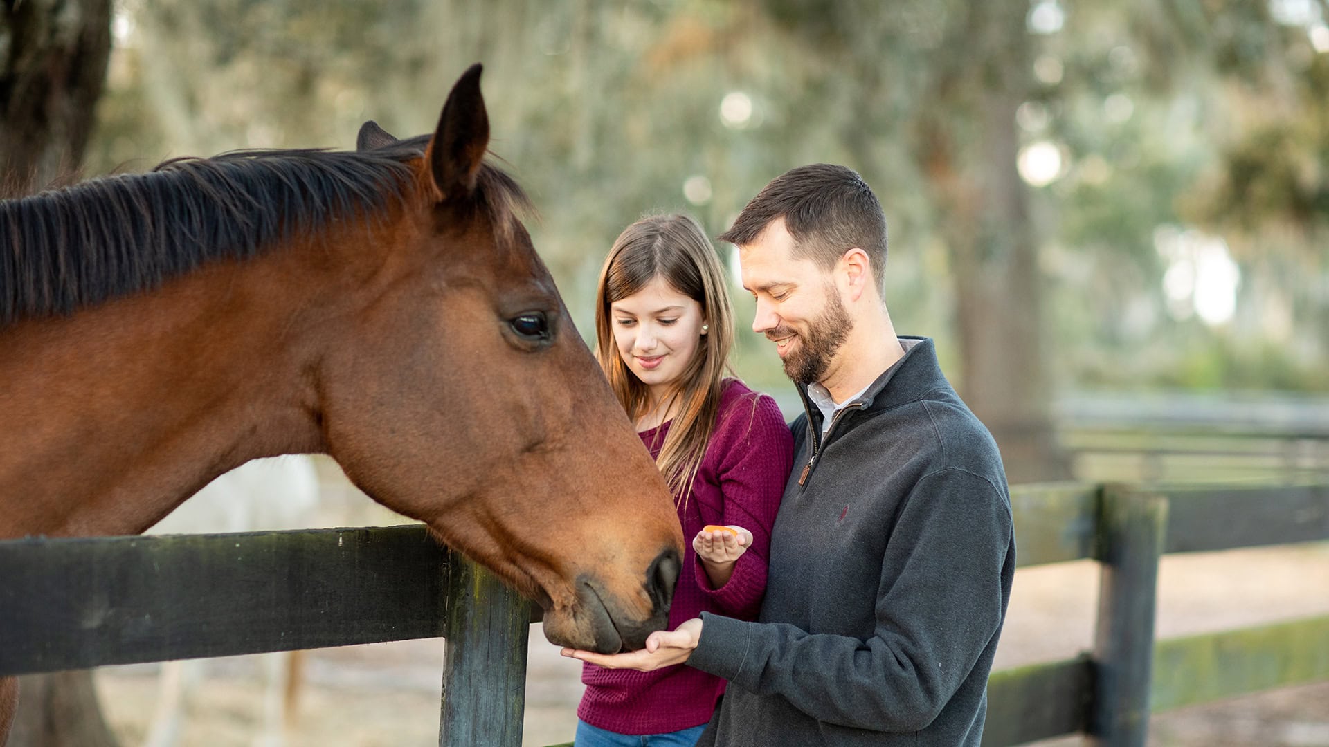 Visita à Fazenda Kimberden em Ocala, Florida