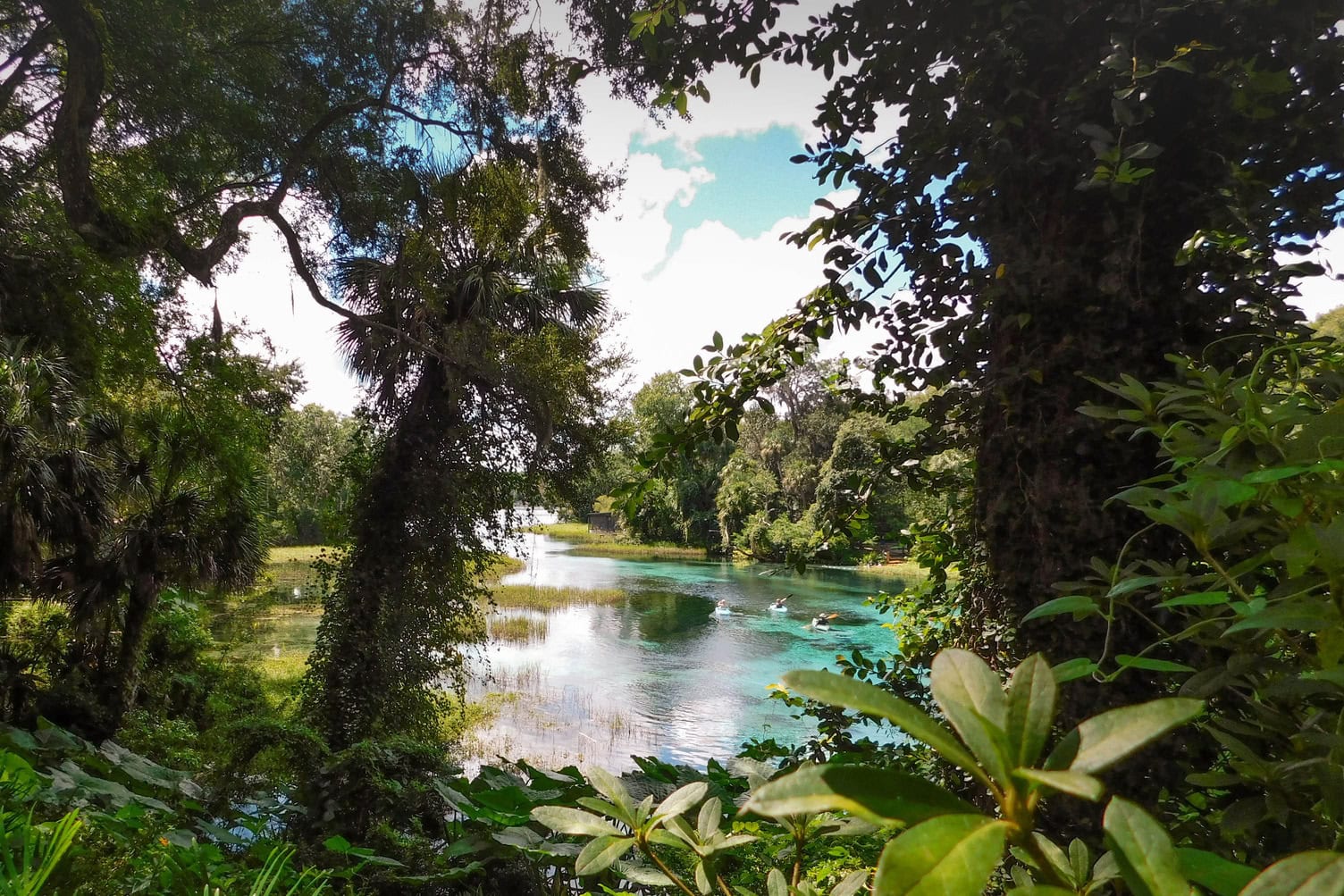 Remando no Rainbow Springs, em Dunnellon, Florida