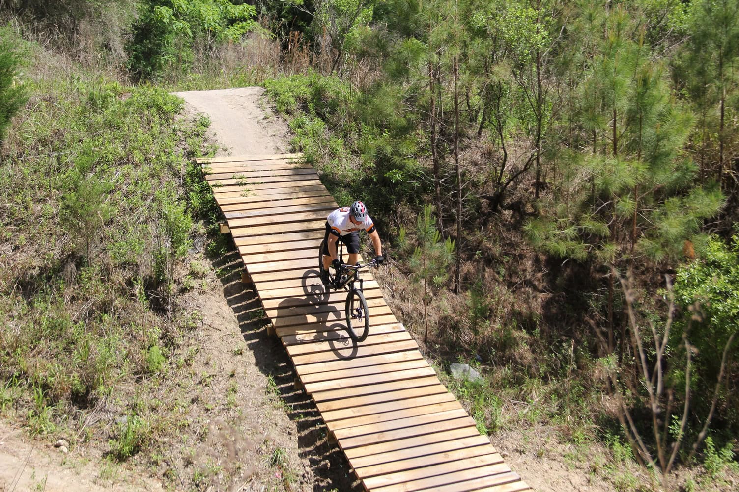 Ciclismo de montanha no Santos Trailhead, no condado de Marion, Florida