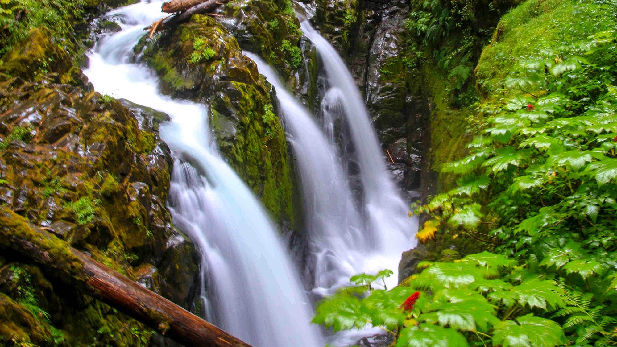 Las cataratas Sol Duc, en el Parque Nacional Olympic, en la península Olímpica Washington
